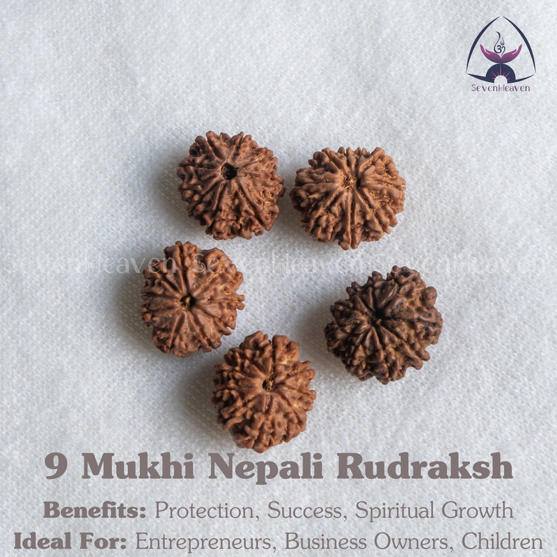 9 Mukhi Nepali Rudraksh