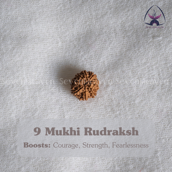 9 Mukhi Rudraksh
