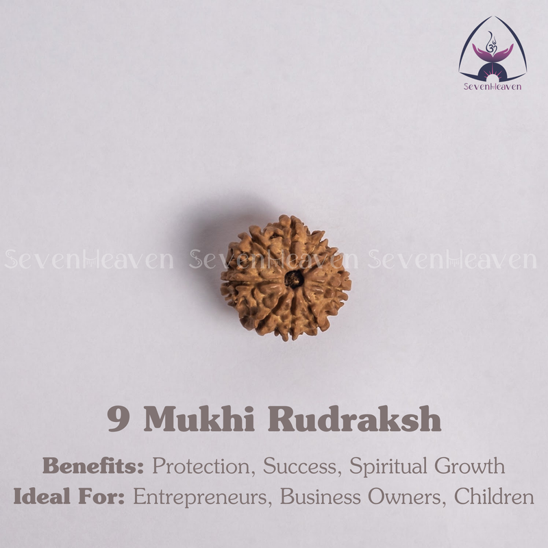 9 Mukhi Rudraksh