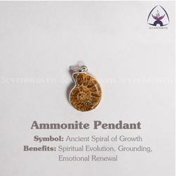 Ammonite Pendant