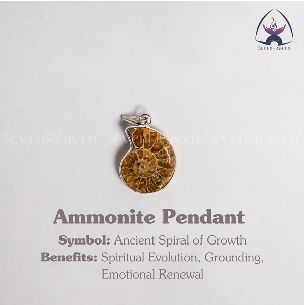 Ammonite Pendant