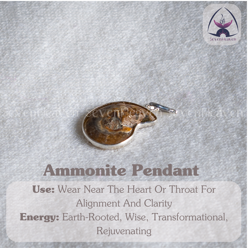 Ammonite Pendant