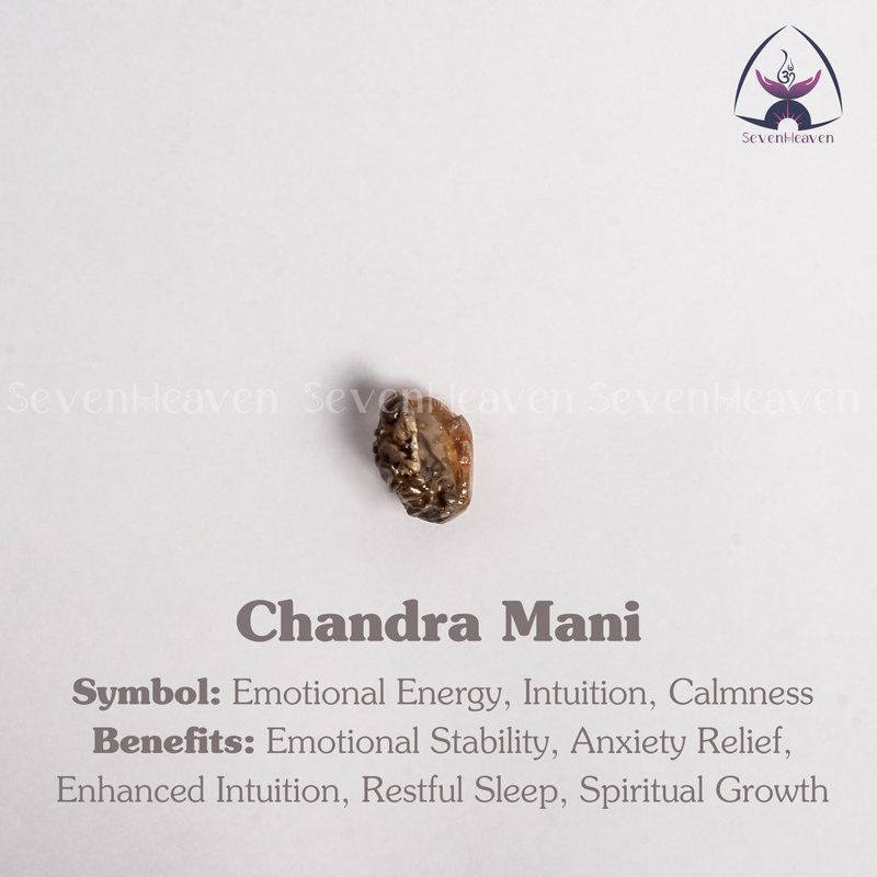 Chandra Mani
