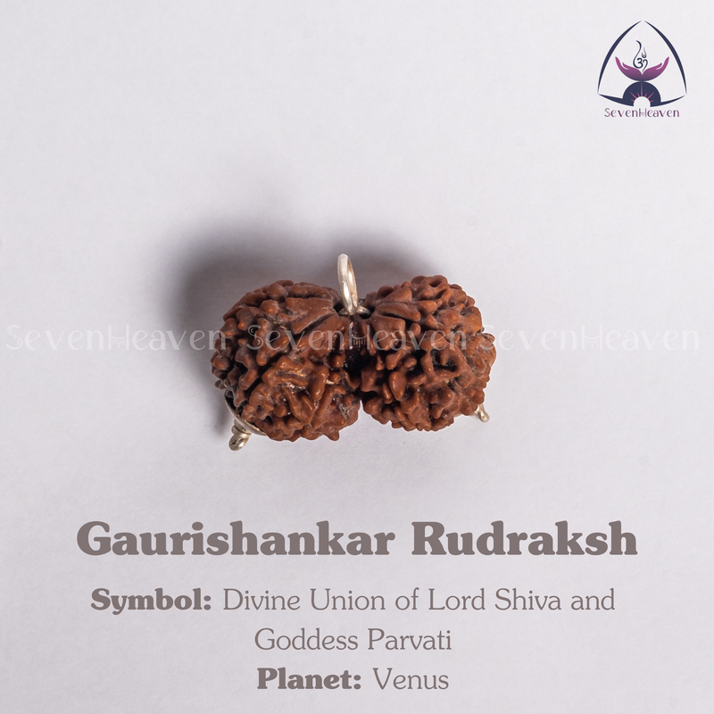 Gaurishankar Rudraksh