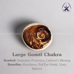 Large Gomti Chakra