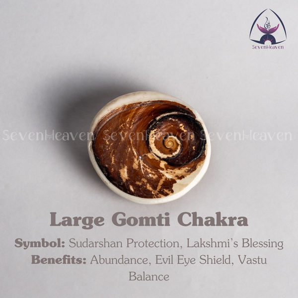 Large Gomti Chakra