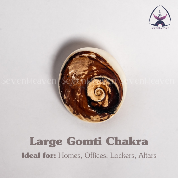 Large Gomti Chakra