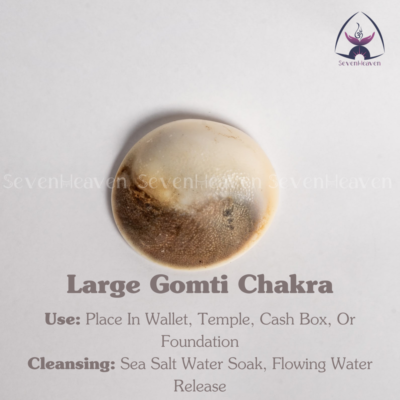 Large Gomti Chakra