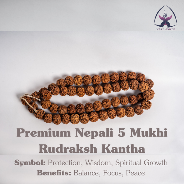 Premium Nepali 5 Mukhi Rudraksh Kantha