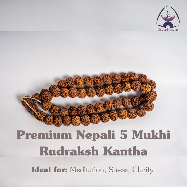 Premium Nepali 5 Mukhi Rudraksh Kantha