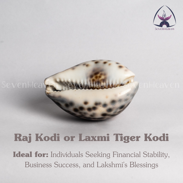 Raj Kodi or Laxmi Tiger Kodi