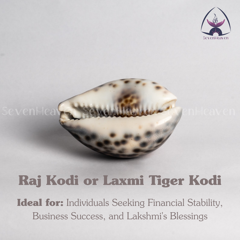 Raj Kodi or Laxmi Tiger Kodi