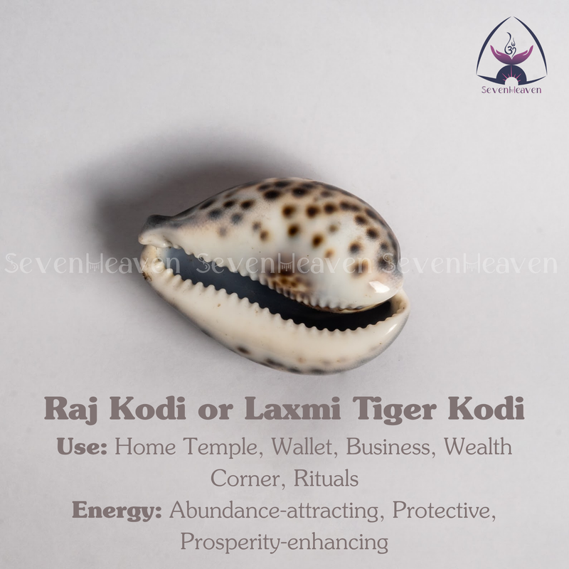 Raj Kodi or Laxmi Tiger Kodi