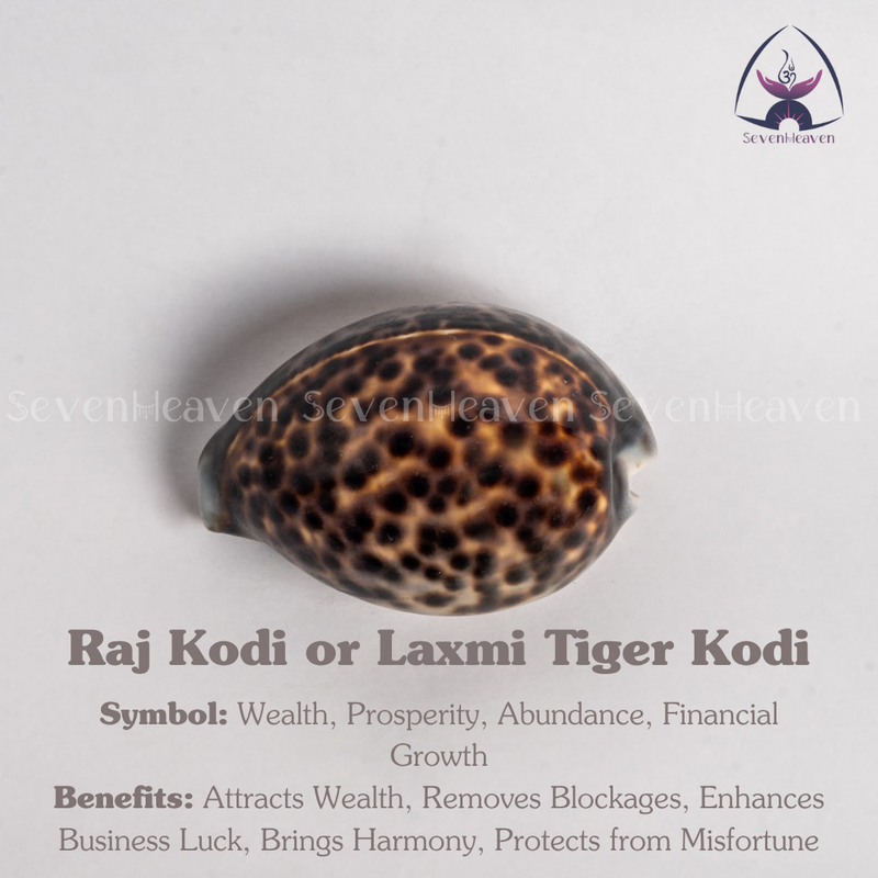 Raj Kodi or Laxmi Tiger Kodi