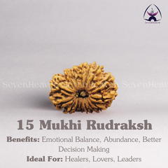 15 Mukhi Rudraksh