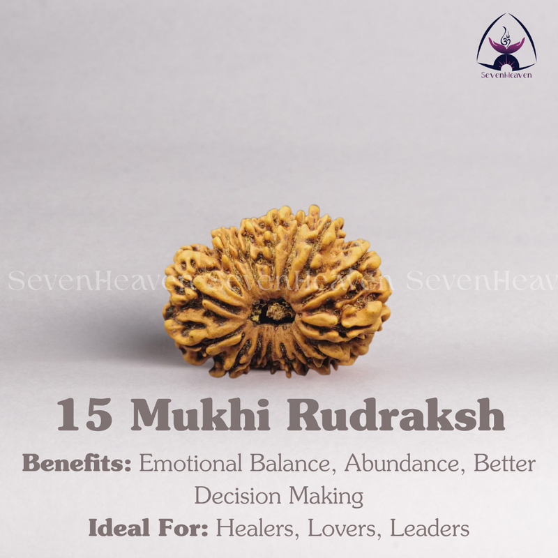 15 Mukhi Rudraksh