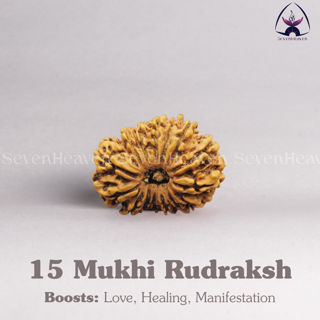 15 Mukhi Rudraksh