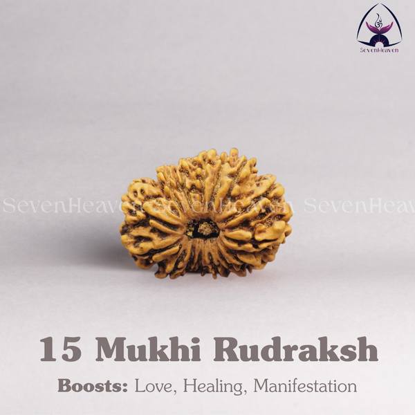 15 Mukhi Rudraksh