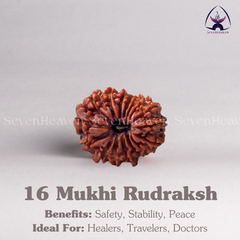 16 Mukhi Rudraksh