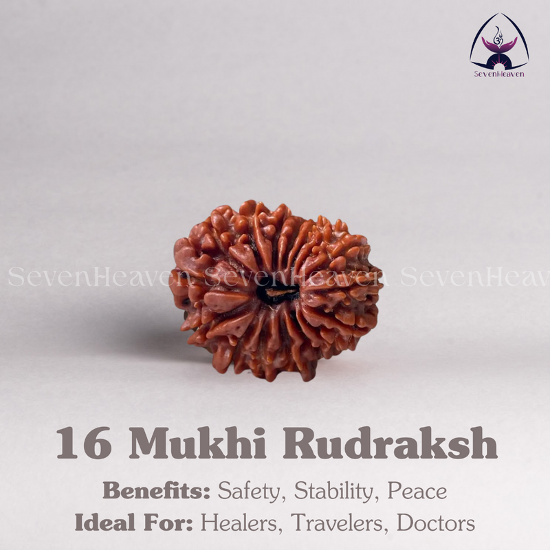 16 Mukhi Rudraksh