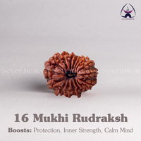 16 Mukhi Rudraksh