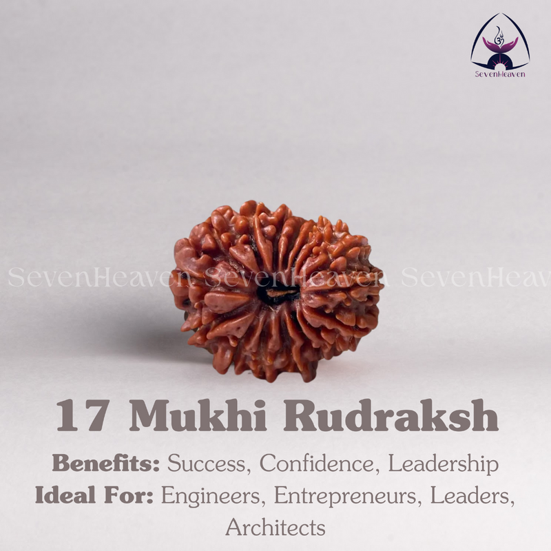 17 Mukhi Rudraksh