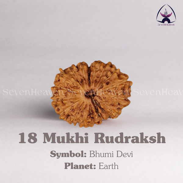 18 Mukhi Rudraksh