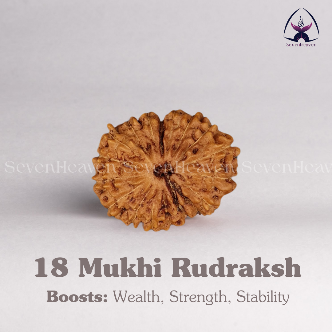 18 Mukhi Rudraksh