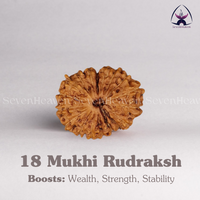 18 Mukhi Rudraksh