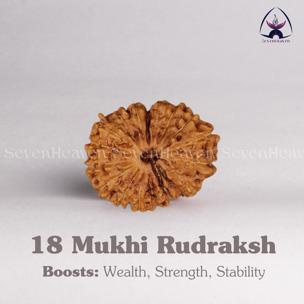 18 Mukhi Rudraksh