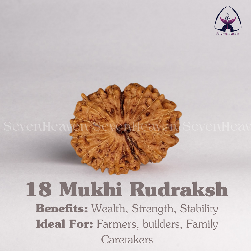 18 Mukhi Rudraksh