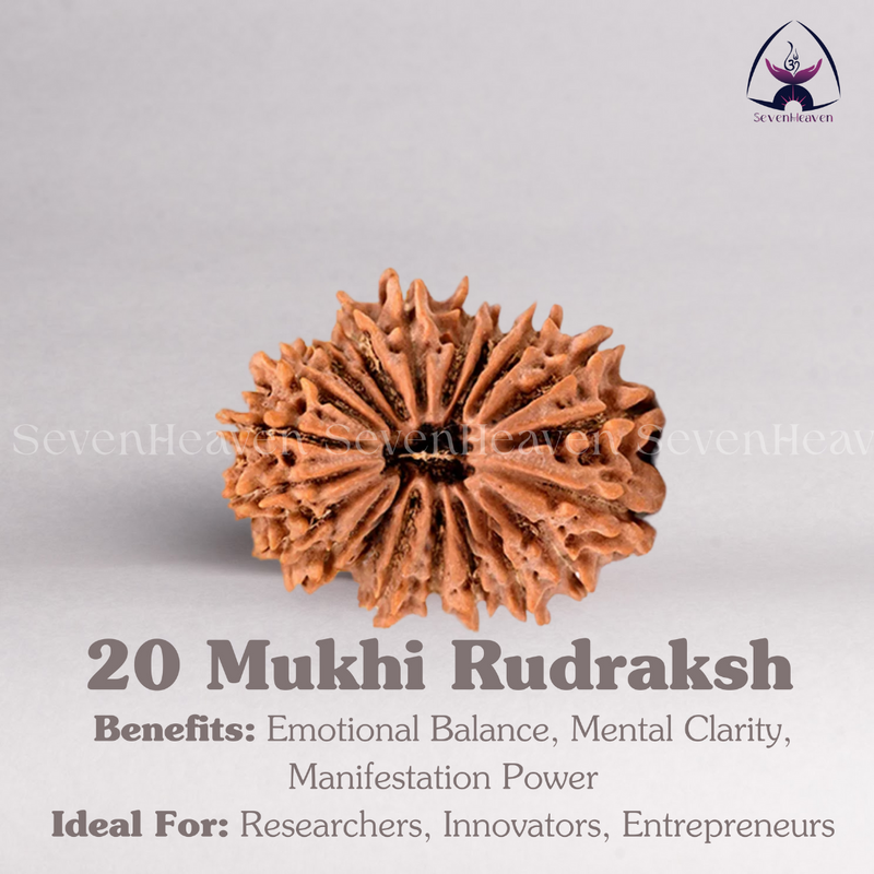 20 Mukhi Rudraksh