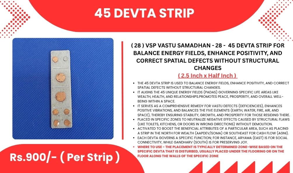 SevenHeaven 45 Devta Strip for Vastu | Directional Energy Balance & Protection Plate