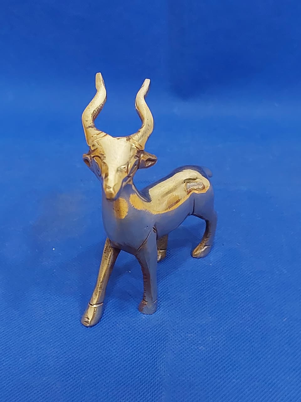 Deer - 1