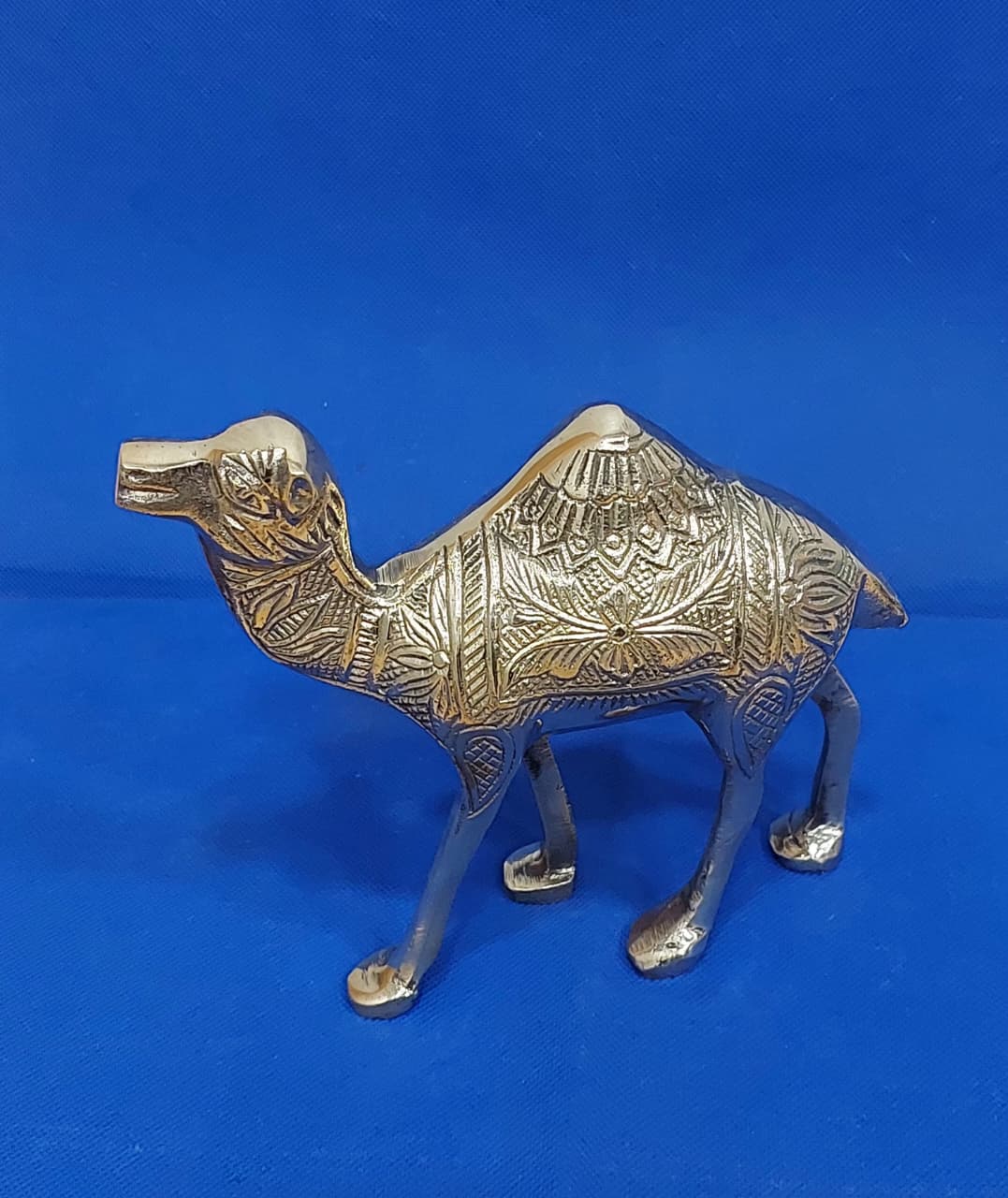 Camel - 1